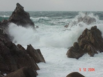 [越前がに　ツアー]