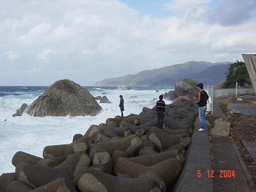 [越前がに　ツアー]