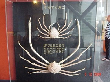 [越前がに　ツアー]