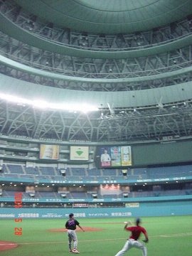 [草野球inドーム]