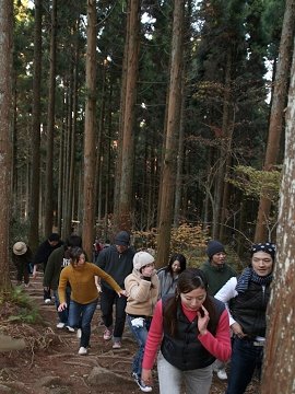 [六甲山フィールド・アスレチック]