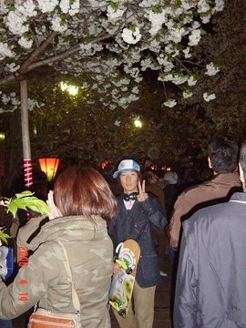 [造幣局　桜の通り抜け]