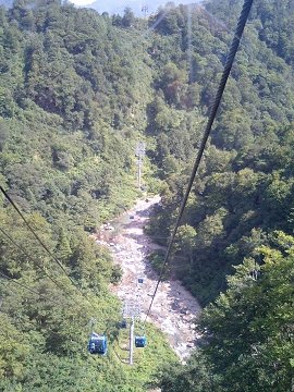 [FUJI ROCK FESTIVAL'06]