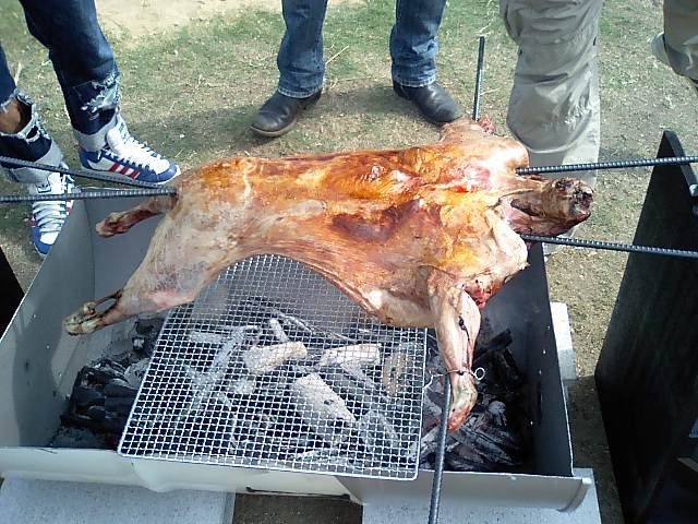 [丸焼きＢＢＱ]