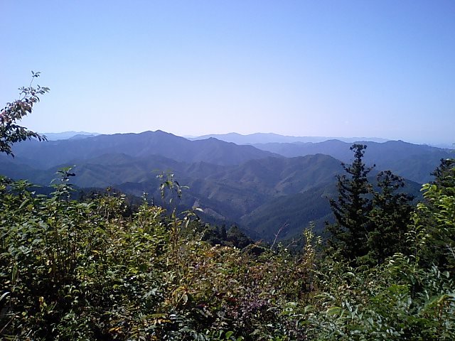 [高野山]