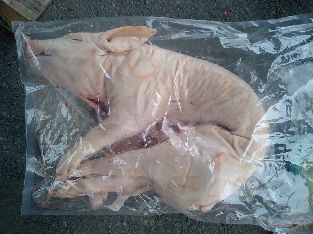 [丸焼きＢＢＱ～子豚 編～]