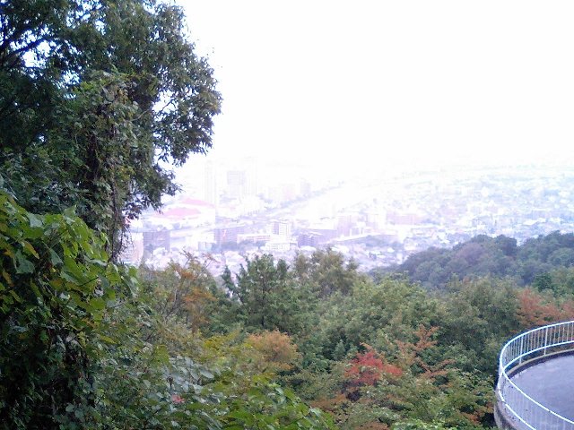 [六甲山縦走ツーデーマーチ]