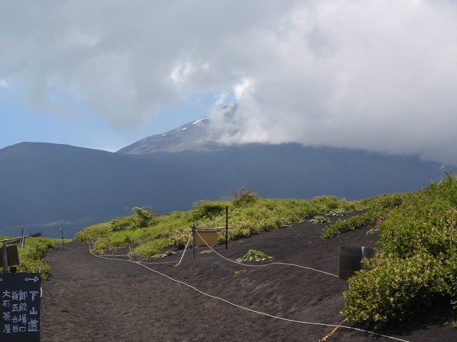 [富士登山 下界](78/80)