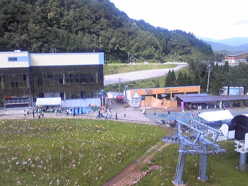 [Dynaland ゆり園]