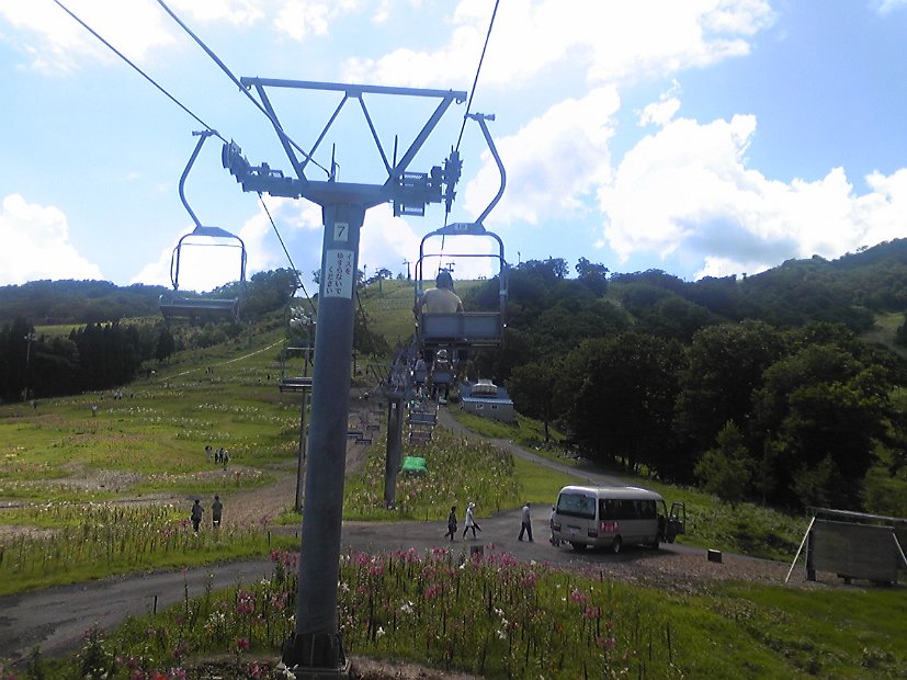 [Dynaland ゆり園]