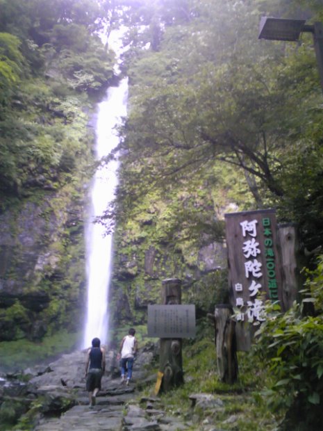 [Dynaland ゆり園]