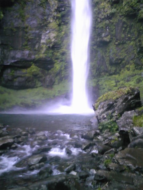 [Dynaland ゆり園]