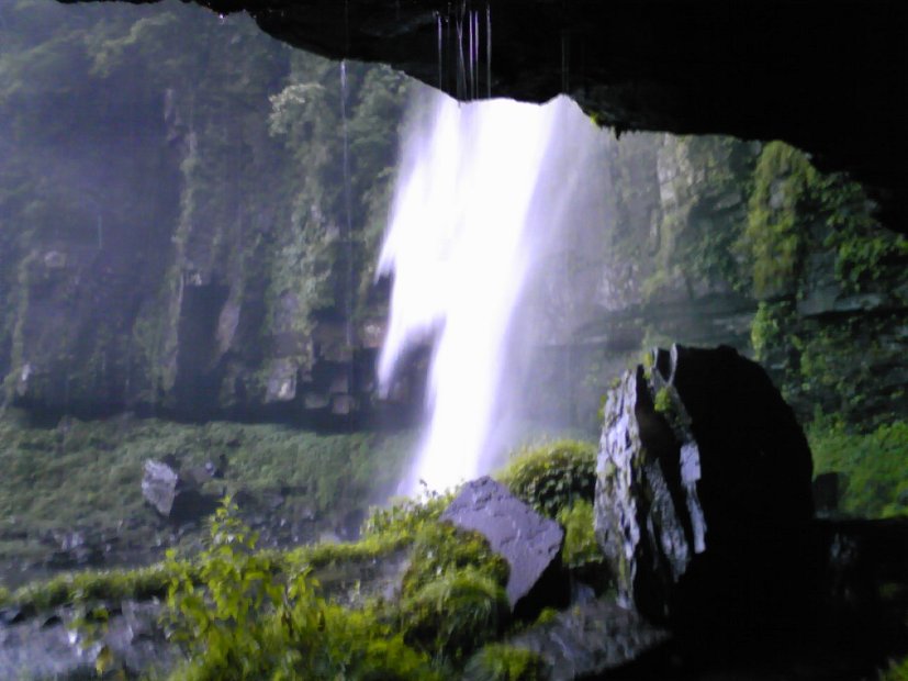 [Dynaland ゆり園]