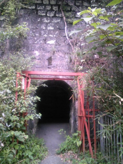 [宝塚市で宝探し！]