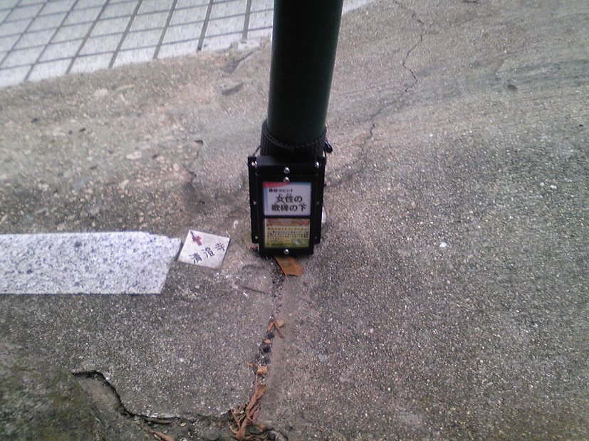 [宝塚市で宝探し！]