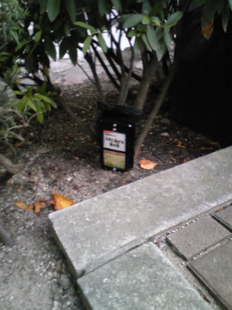 [宝塚市で宝探し！]