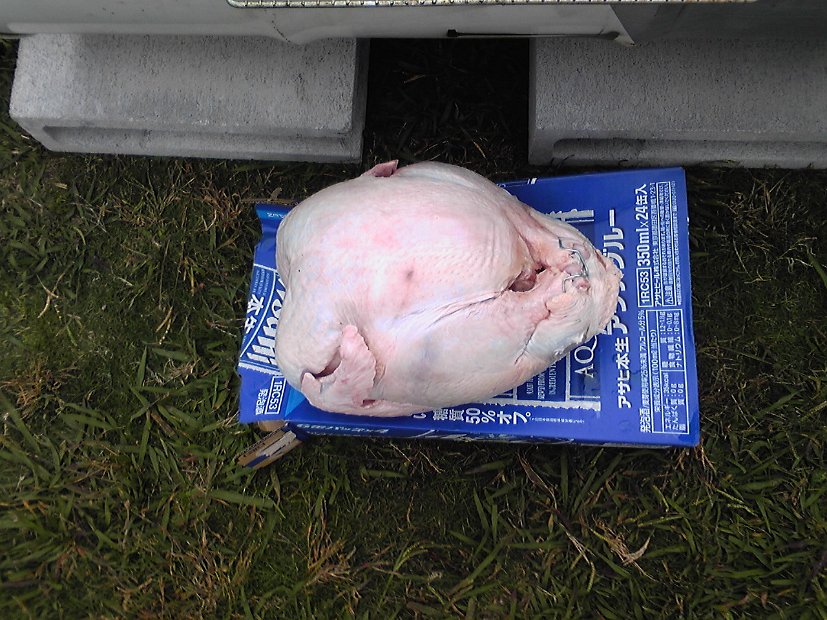 [丸焼きＢＢＱ～七面鳥 編～]