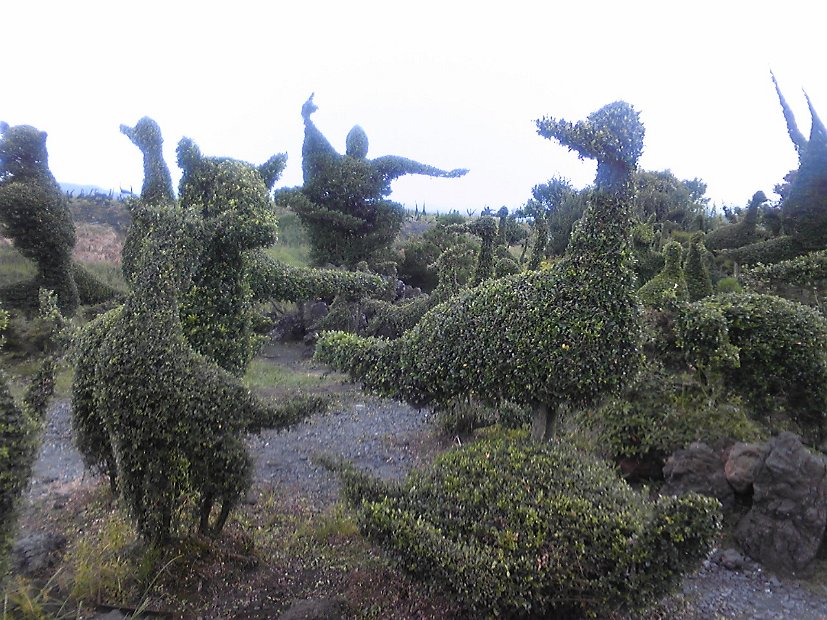 [2009年 原付ツーリング 九州一周]