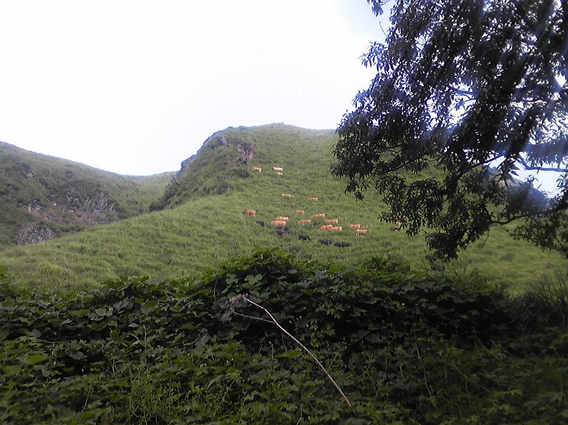 [2009年 原付ツーリング 九州一周]