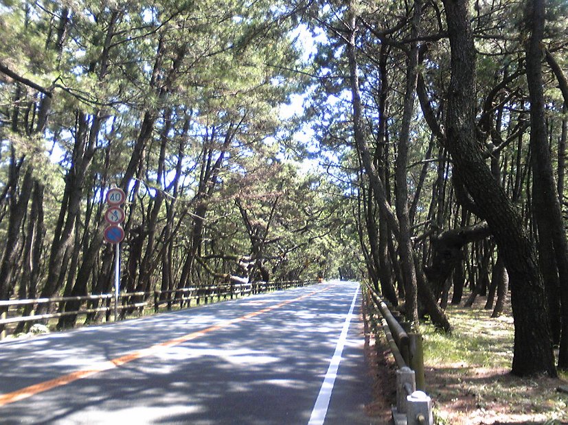 [2009年 原付ツーリング 九州一周]