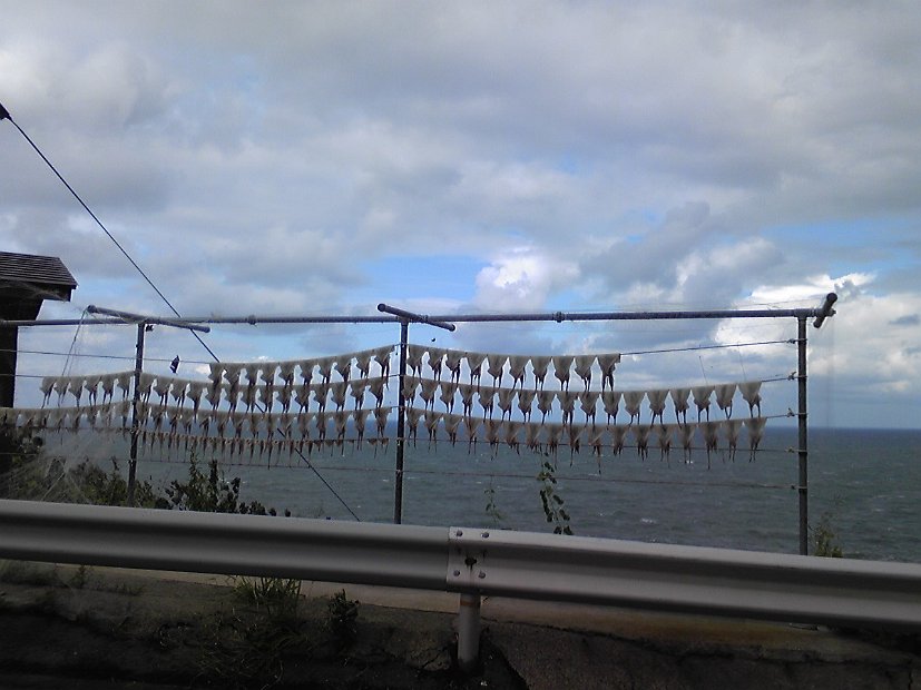 [2010年 原付ツーリング 東北]