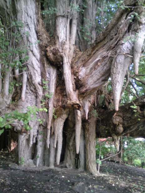 [2010年 原付ツーリング 東北]