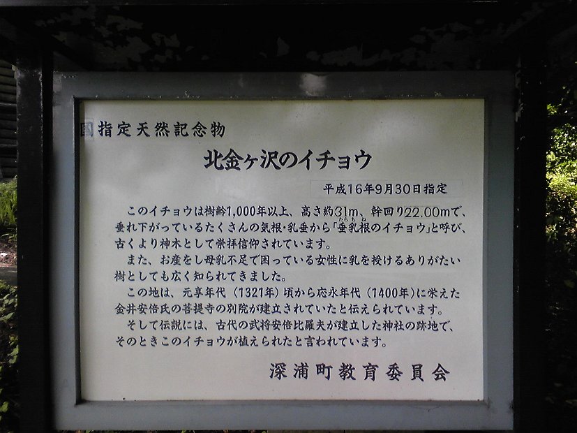 [2010年 原付ツーリング 東北]