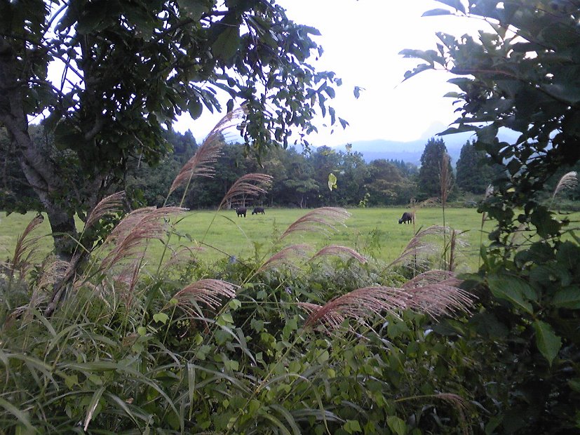 [2010年 原付ツーリング 東北]