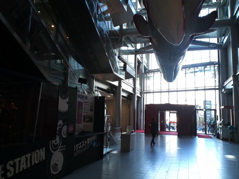 [ROCKIN' FIVE STATION]