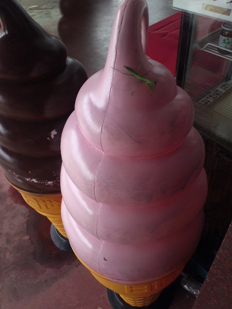 [つながりキャラバン 宝塚ビーチステーション in 白浜]