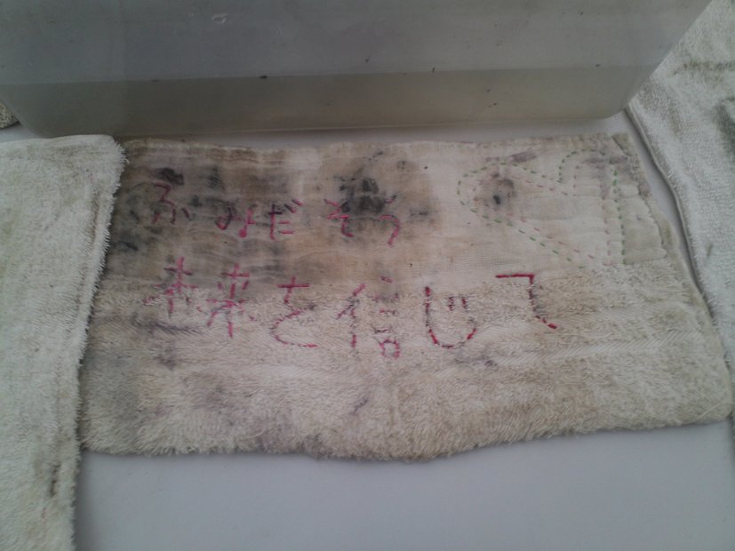 [宝塚第1次希望応援隊]