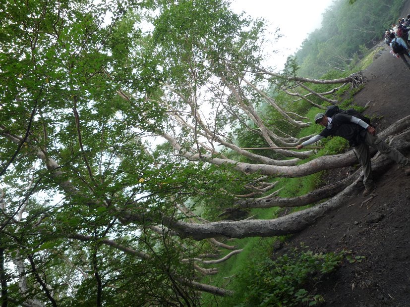 [2011年　富士山登山]