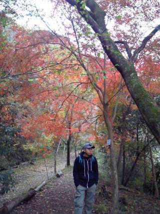 [武田尾　ハイキング]