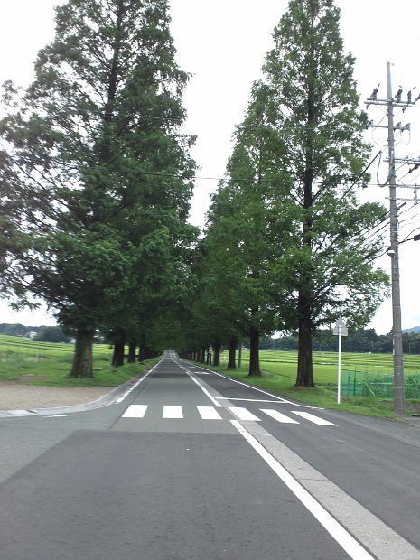 [原付ツーリング　琵琶湖一周]