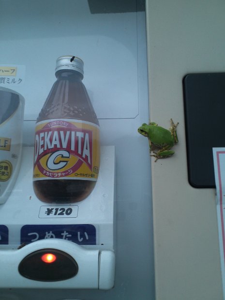 [ふとふぉと（自動販売機)]