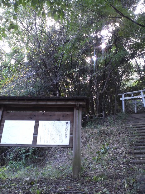 [滋賀　茶臼山古墳]