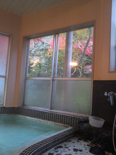 [武田尾　ハイキング]