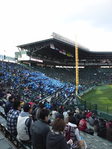 [甲子園　春のセンバツ]