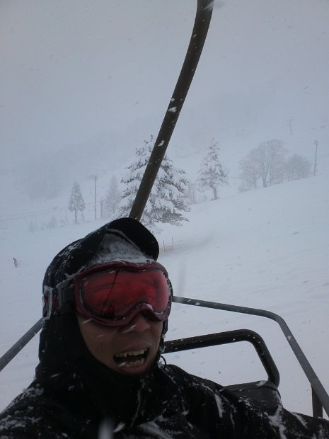 [Dynaland 2011-2012]