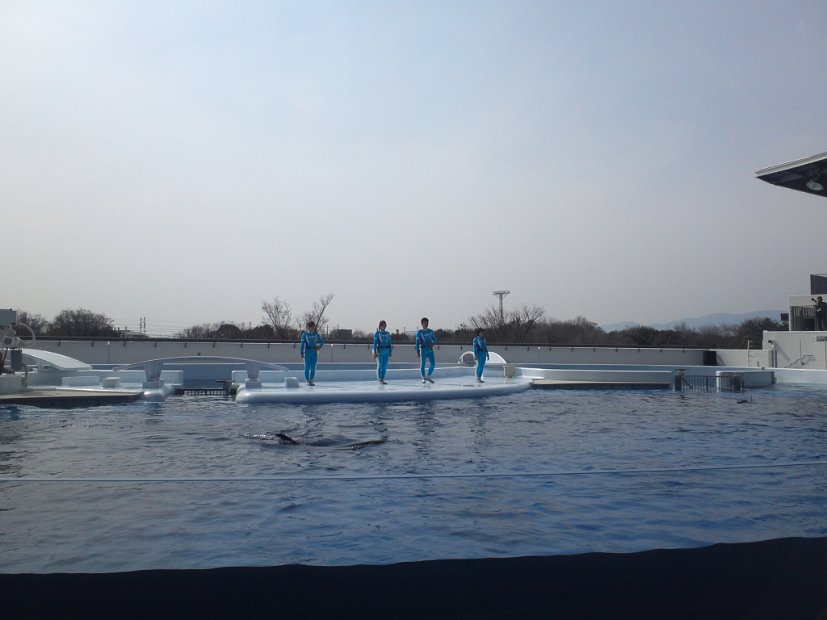 [京都水族館]