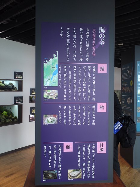 [京都水族館]