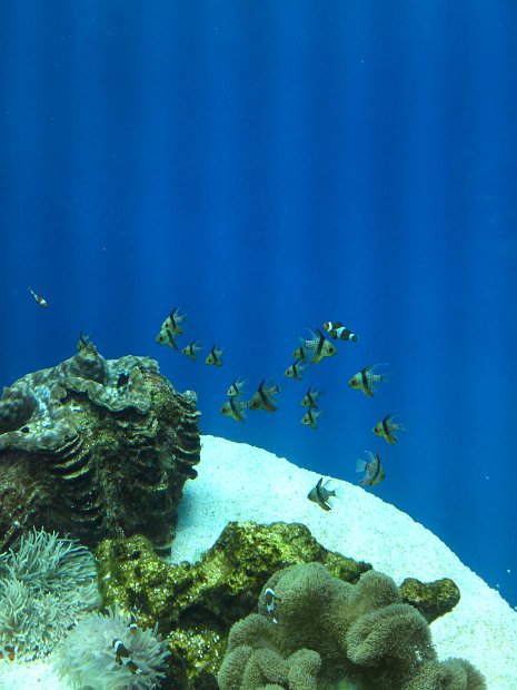 [京都水族館]