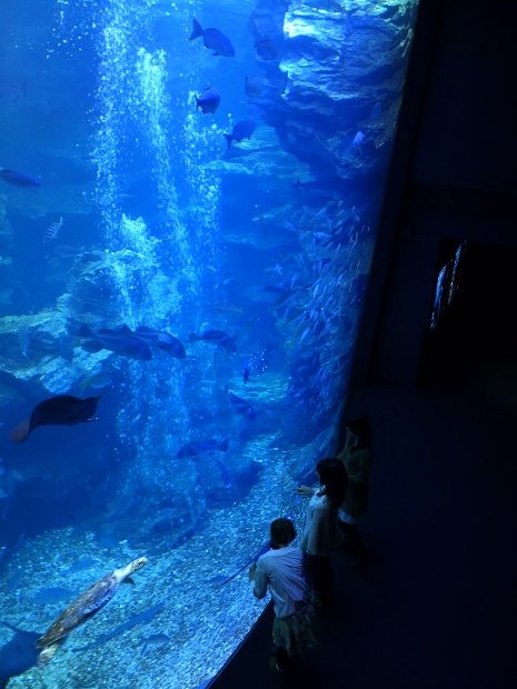 [京都水族館]