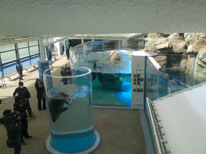 [京都水族館]