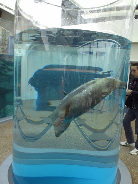 [京都水族館]