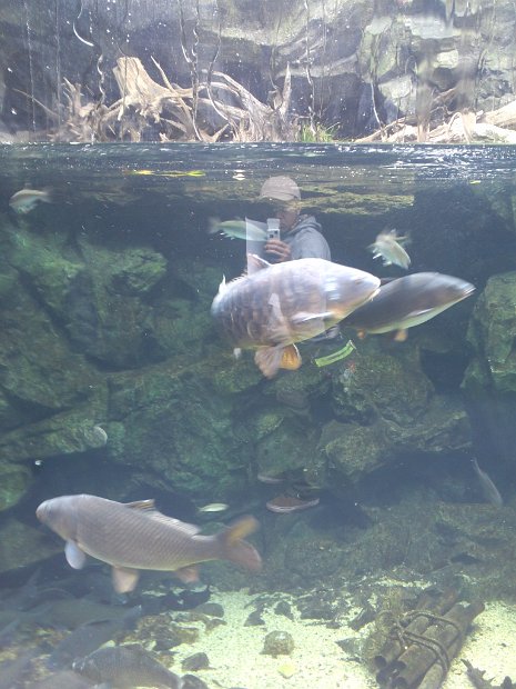 [京都水族館]