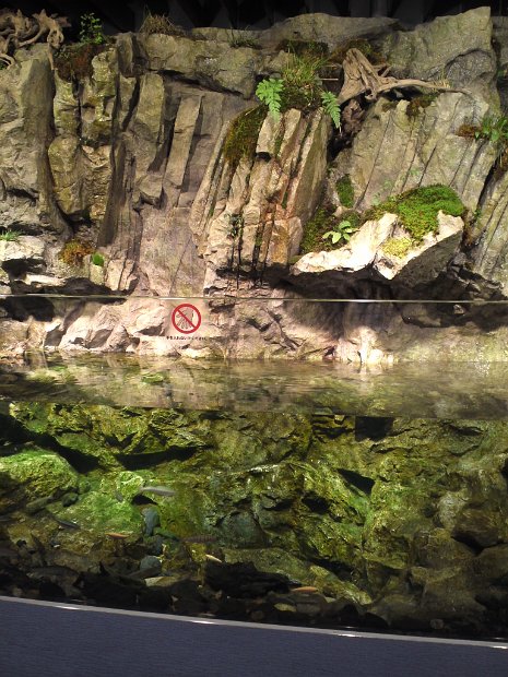 [京都水族館]