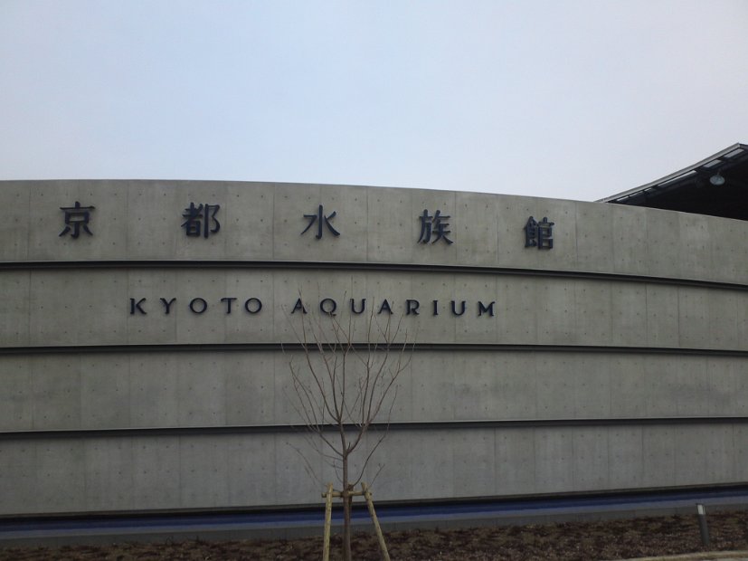 [京都水族館]