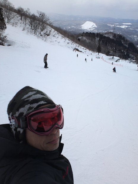 [Dynaland 2011-2012]