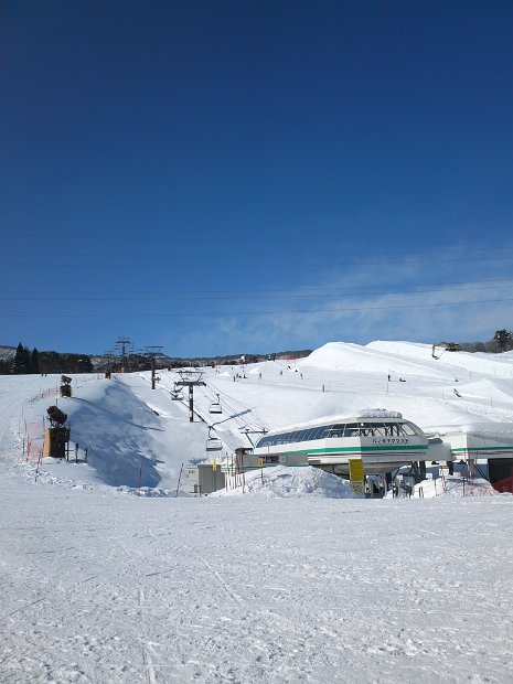 [Dynaland 2011-2012]